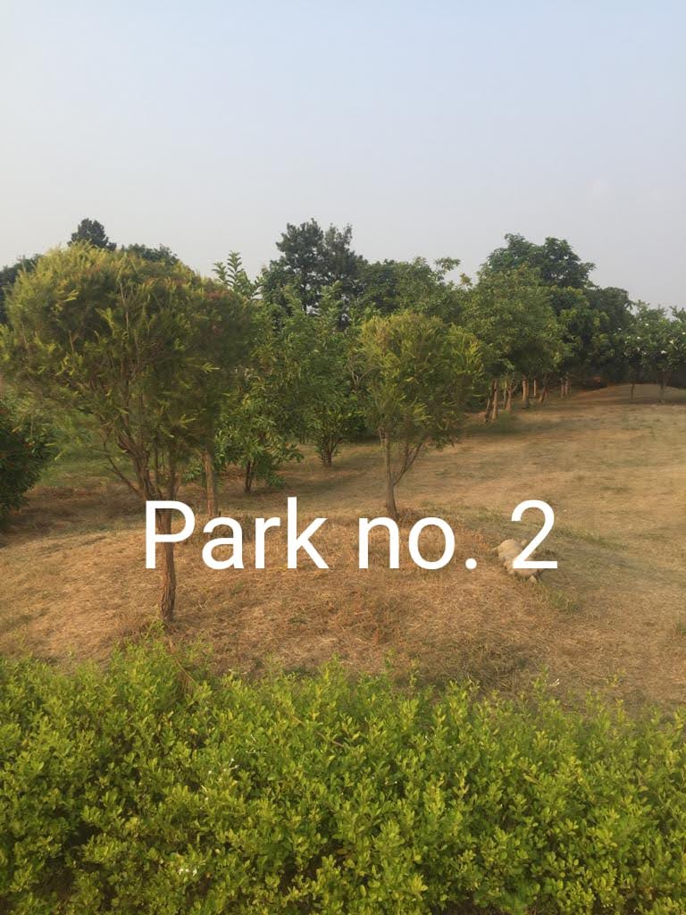 WhatsApp Image 2026-04-30 at 2.59.38 PM