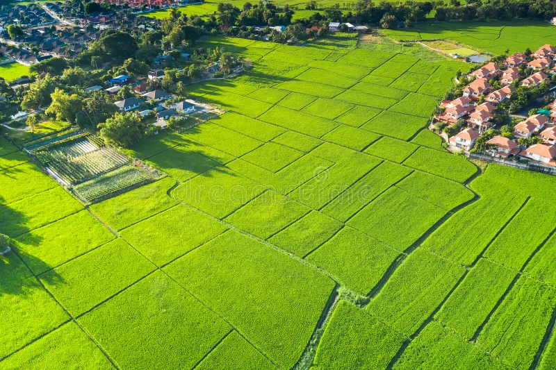 Why Location Plays a Crucial Role in Property Investment